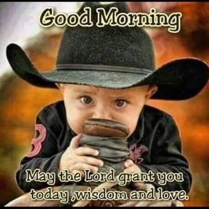 Meet your Posher, Wallace